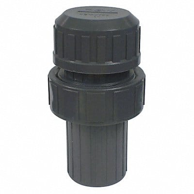 Vacuum Breaker 1/2 in FNPT PVC 150 psi