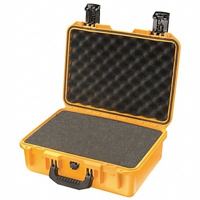 G3173 ProtCase 4 in PdLkHsp/PrPu Ylw G3173 ProtCase 4 in PdLkHsp/PrPu Ylw