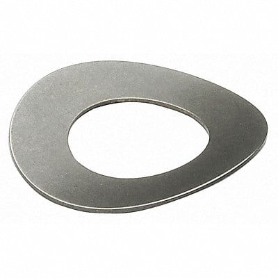 Disc Spring 0.312 SS Curved PK25