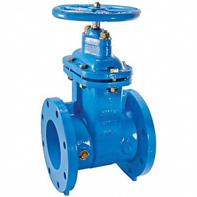 Gate Valve Class 125 3 in Flange