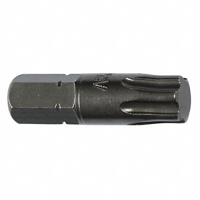 Insert Bit SAE 5/16 Hex T50 1-1/4 PK5