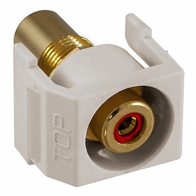 Inline Coupler RCA Duplex Light Almond