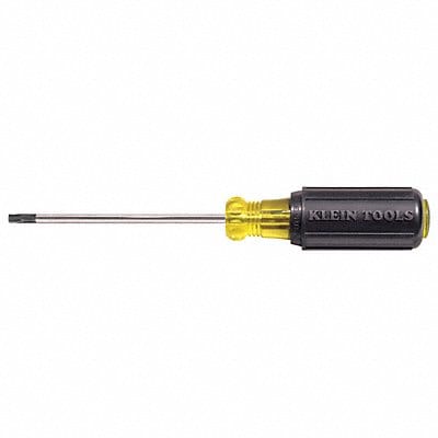 Torx Screwdriver T25