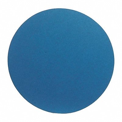 J1134 PSA Sanding Disc 10 in Dia 60 G