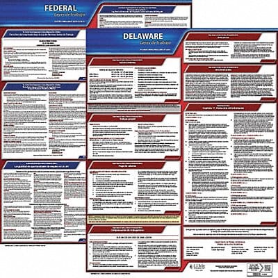 Labor Law Poster Kit DE Spanish 19 in W