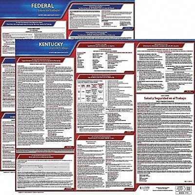 Labor Law Poster Kit KY Spanish 27 in W