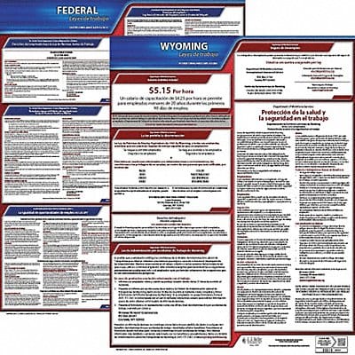 Labor Law Poster Kit WY Spanish 19 in W