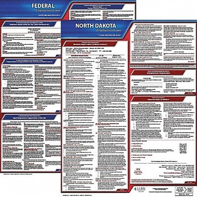 Labor Law Poster Kit ND English 19 in W