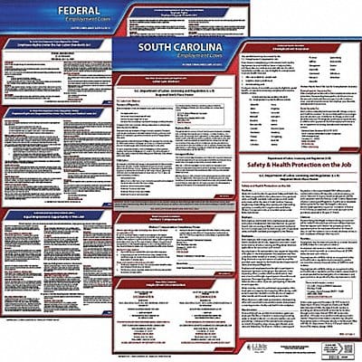 Labor Law Poster Kit SC English 19 in W