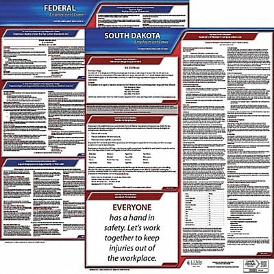 Labor Law Poster Kit SD English 19 in W