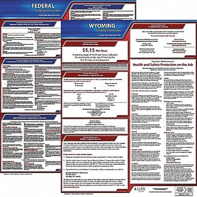 Labor Law Poster Kit WY English 19 in W