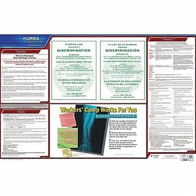 Labor Law Poster State Labor Law FL