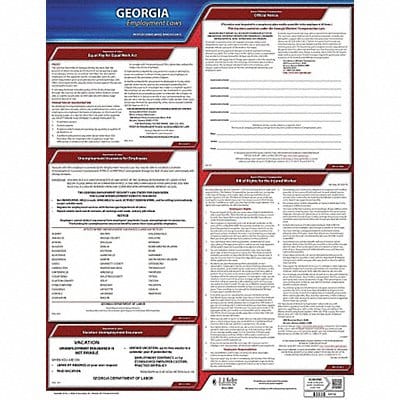 Labor Law Poster State Labor Law GA