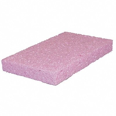Sponge 6 in L Pink PK2