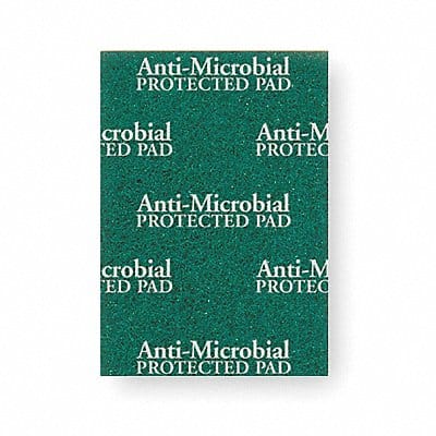 Scouring Pad 8 7/8 in L Green PK20