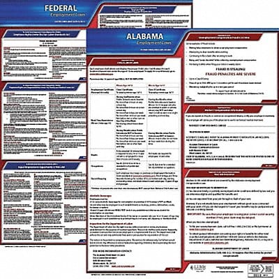 Labor Law Poster Kit AL English 19 in W