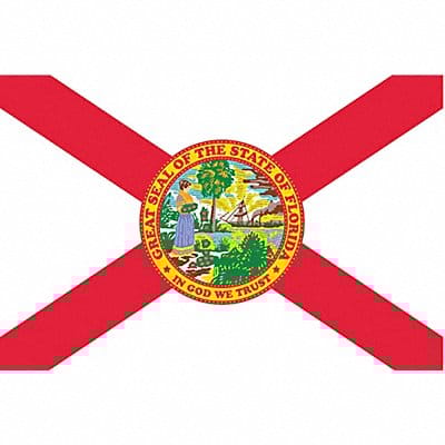 D3761 Florida State Flag 3x5 Ft