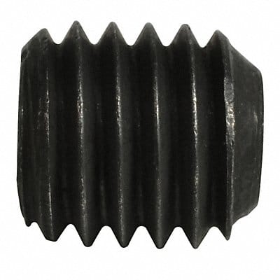 Bolt Standard