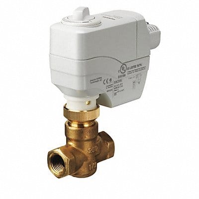 Globe Valve Assembly Two-Way 1cv 1/2