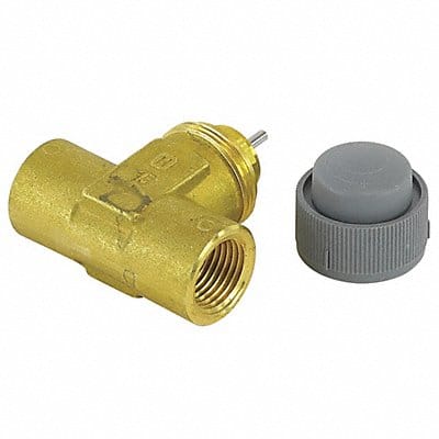 NPT Valve 2 Way