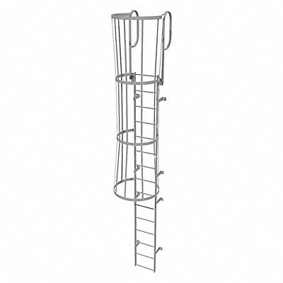Fixed Ladder w/ Safety Cage Steel 14 ft.