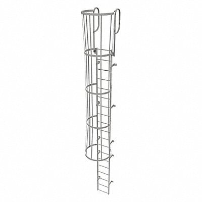 Fixed Ladder w/ Safety Cage Steel 18 ft.