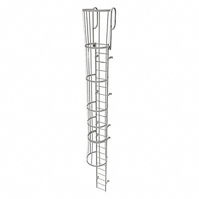 Fixed Ladder w/ Safety Cage Steel 22 ft.