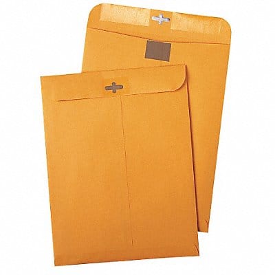 Catalog Envelopes 9 H 12 W PK100