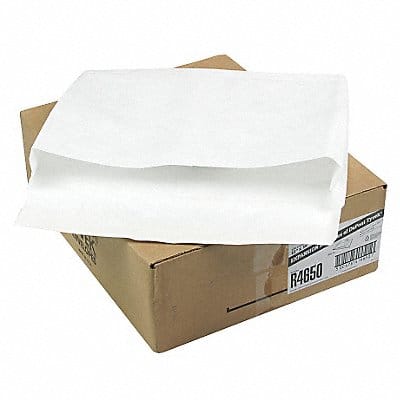 Expandable Envelope #15-1/2 PK100