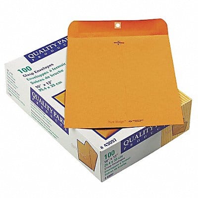 Catalog Envelopes 10 H 13 W PK100