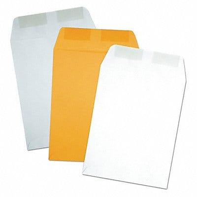 Catalog Envelopes 9 H 12 W PK250