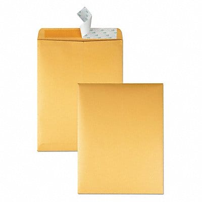 Catalog Envelopes 10 H 13 W PK100