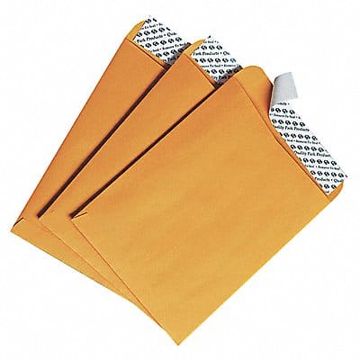 Catalog Envelopes 6 H 9 W PK100