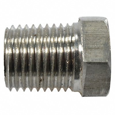 Pipe Plug SS316 1/4 Npt SS PK2