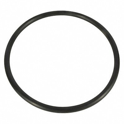 Trap Lid O-Ring