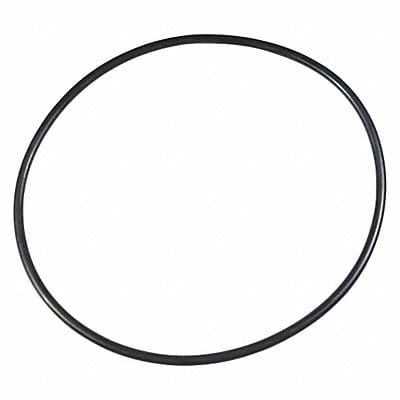 Ss Pump O-Ring