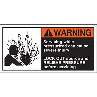 Label 2 1/2 in x 5 in Polyester PK5