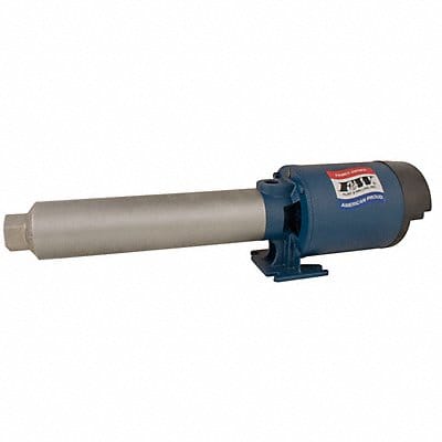Booster Pump 1 hp 1 Phase 115/230V AC