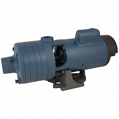Booster Pump 2 hp 1 Phase 115/230V AC