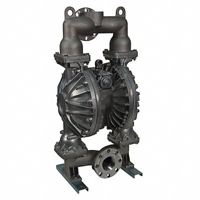 Dbl DphrmPmp NPT/Flange TPV 3/4in 215gpm