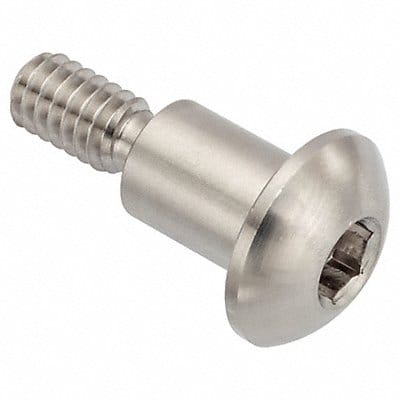 Architect Bolt 18-8SS 1/4 -20 1/2 L