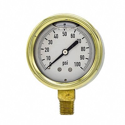 Pressure Gauge 1/4 in NPT 2-1/2 in