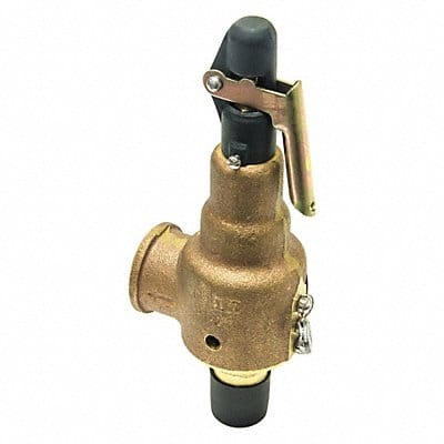Safety Relief Valve 1-1/2in.x2in. 250psi