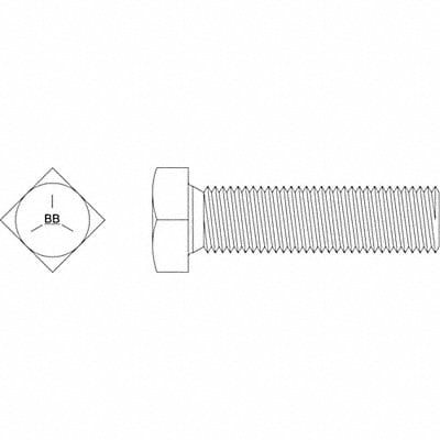 Square Head Bolt Fastener L 2 in PK40