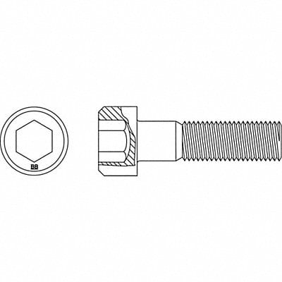 SHCS Steel 1/2 -13 13in L PK5