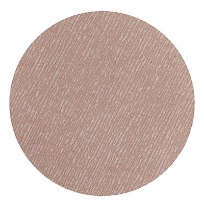 Hook-and-Loop Sand Disc 5 in Dia PK100