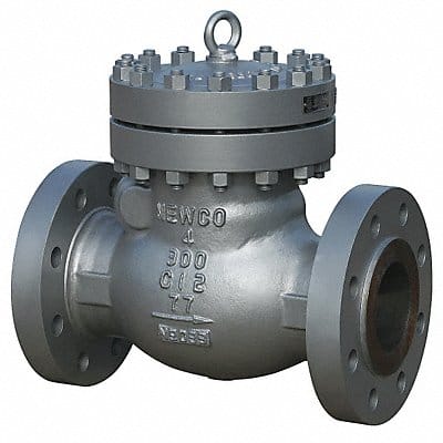 Swing Check Valve 24.5 in Overall L