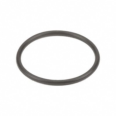 Gasket 2 1/4 Dia 1/8 EPDM