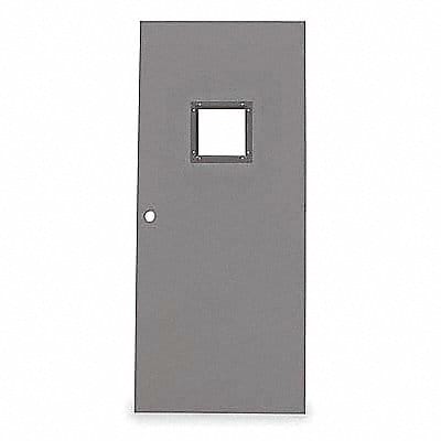 D3628 Vision Light Steel Door 84x30 In