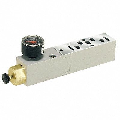 Manifold Air Regulator 145 psi 120F Manifold Air Regulator 145 psi 120F